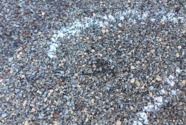 hail damaged roof example