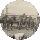 David Naney profile picture